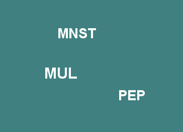 MNST, ses 40000% et 2 autres pépites – MUL et PEP