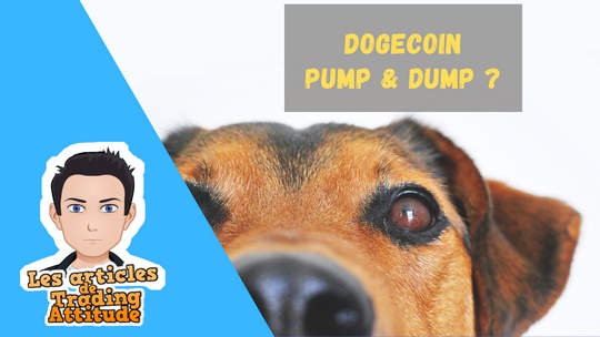 Dogecoin pump and dump