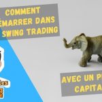 swing trading petit capital