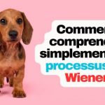 Comment comprendre simplement les processus de Wiener