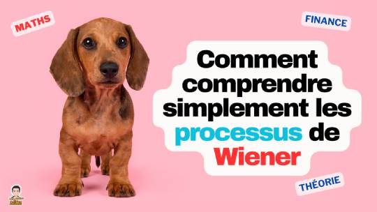 Comment comprendre simplement un processus de Wiener