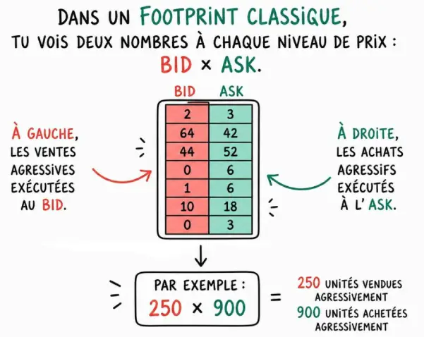 Anatomie du Footprint
